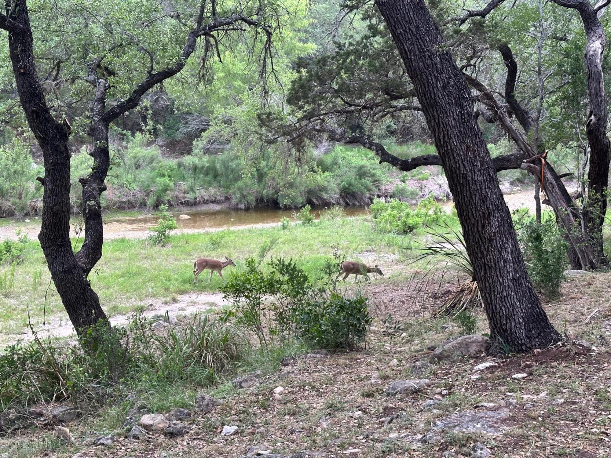 Tiny House - Our Little Piece Of Paradise Lakehills Εξωτερικό φωτογραφία